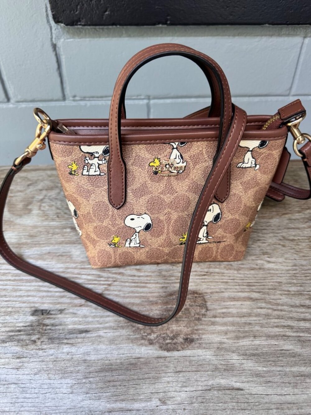 Coach Peanuts Snoopy Woodstock Mini Satchel Crossbody Signature Canvas Bag - Picture 2 of 13